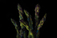 11111.-Juran-Asparagus