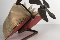 Cipolla-Speed-Reading-detail-a