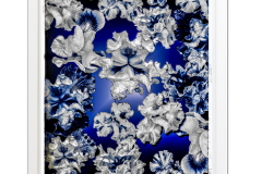 Landau-FB22S-Irises-photog