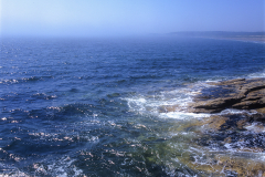 Harris_Ocean-2 Harris_Ocean-2