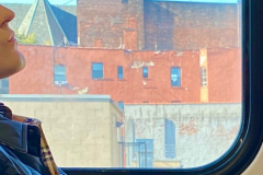 Loss-Metro-North