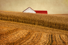 Meilich-Fall-Field